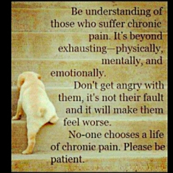 🫎 Moose Canister Cookie Jar Tienshan Cabin LODGE EUC - Picture 14 of 16